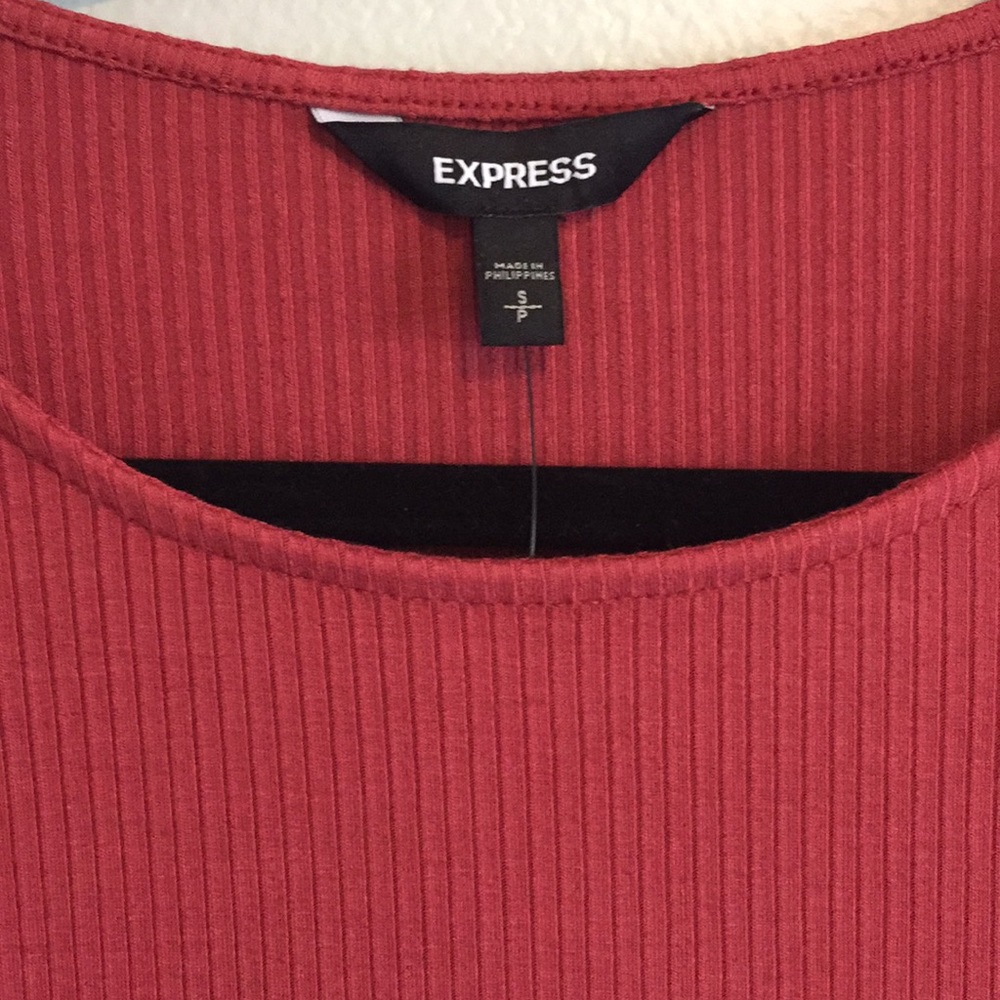 Express Dress - Picture 4 of 4